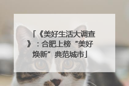 《美好生活大调查》：合肥上榜“美好焕新”典范城市
