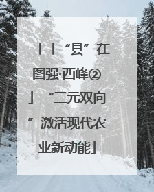 「“县”在图强·西峰②」“三元双向”激活现代农业新动能