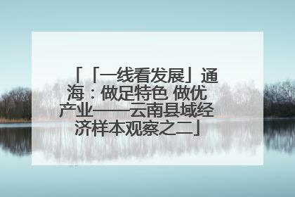 「一线看发展」通海：做足特色 做优产业——云南县域经济样本观察之二