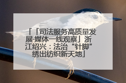 「司法服务高质量发展·媒体一线观察」浙江绍兴：法治“针脚”绣出纺织新天地