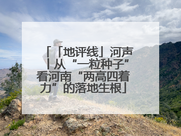「地评线」河声丨从“一粒种子”看河南“两高四着力”的落地生根