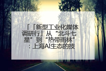 「新型工业化媒体调研行」从“北斗七星”到“热带雨林”：上海AI生态的技术商业共生密码