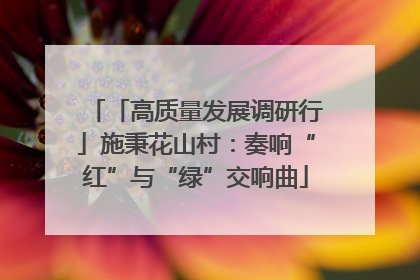 「高质量发展调研行」施秉花山村：奏响“红”与“绿”交响曲