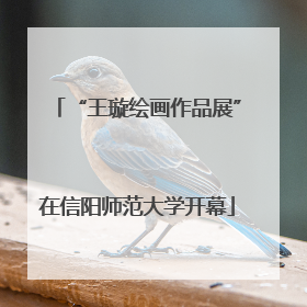 “王璇绘画作品展”在信阳师范大学开幕