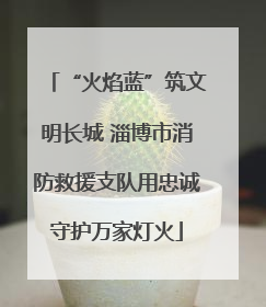 “火焰蓝”筑文明长城 淄博市消防救援支队用忠诚守护万家灯火