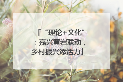 “理论+文化”：嘉兴黄岩联动，乡村振兴添活力