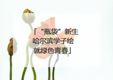 “瓶袋”新生 哈尔滨学子绘就绿色青春