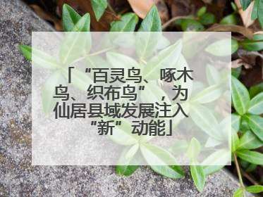“百灵鸟、啄木鸟、织布鸟”，为仙居县域发展注入“新”动能