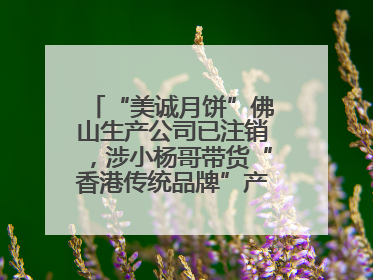 “美诚月饼”佛山生产公司已注销，涉小杨哥带货“香港传统品牌”产地争议事件