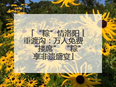 “粽”情洛阳丨重渡沟：万人免费“搂席” “粽”享非遗盛宴