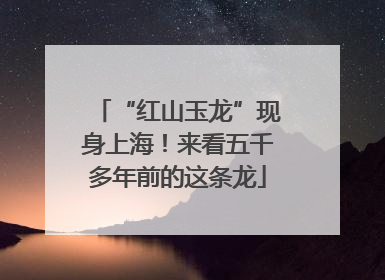 “红山玉龙”现身上海！来看五千多年前的这条龙
