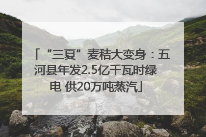 “三夏”麦秸大变身：五河县年发2.5亿千瓦时绿电 供20万吨蒸汽