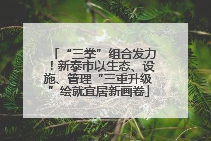 “三拳”组合发力！新泰市以生态、设施、管理“三重升级”绘就宜居新画卷