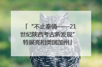 “不止秦俑——21世纪陕西考古新发现”特展亮相美国加州