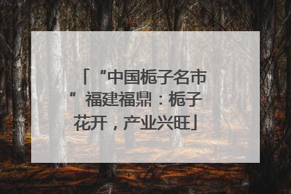 “中国栀子名市”福建福鼎：栀子花开，产业兴旺
