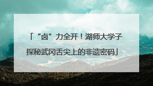 “卤”力全开！湖师大学子探秘武冈舌尖上的非遗密码