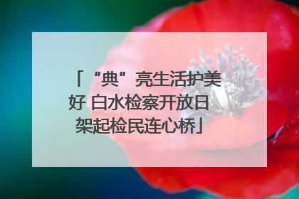 “典”亮生活护美好 白水检察开放日架起检民连心桥