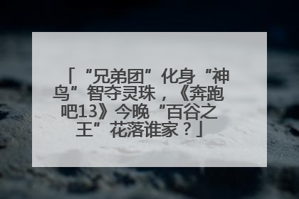 “兄弟团”化身“神鸟”智夺灵珠，《奔跑吧13》今晚“百谷之王”花落谁家？
