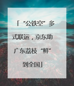 “公铁空”多式联运，京东助广东荔枝“鲜”到全国