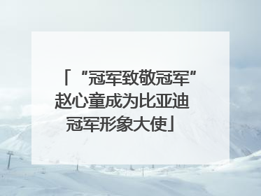 “冠军致敬冠军” 赵心童成为比亚迪冠军形象大使