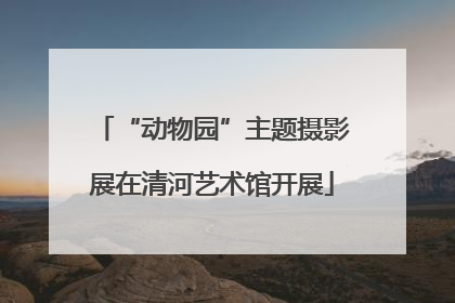 “动物园”主题摄影展在清河艺术馆开展