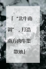 “北牛南调”，打造南方肉牛集散地