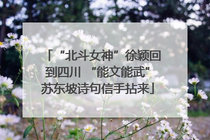 “北斗女神”徐颖回到四川 “能文能武”苏东坡诗句信手拈来