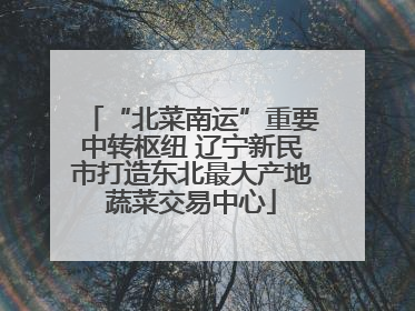 “北菜南运”重要中转枢纽 辽宁新民市打造东北最大产地蔬菜交易中心