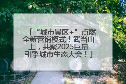 “城市景区+”点燃全新营销模式！武当山上，共聚2025巨量引擎城市生态大会！