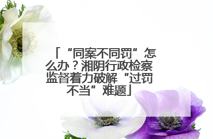 “同案不同罚”怎么办？湘阴行政检察监督着力破解“过罚不当”难题