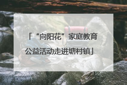 “向阳花”家庭教育公益活动走进塘村镇