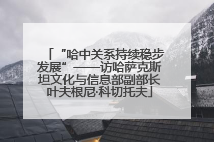 “哈中关系持续稳步发展”——访哈萨克斯坦文化与信息部副部长叶夫根尼·科切托夫