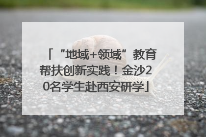 “地域+领域”教育帮扶创新实践！金沙20名学生赴西安研学
