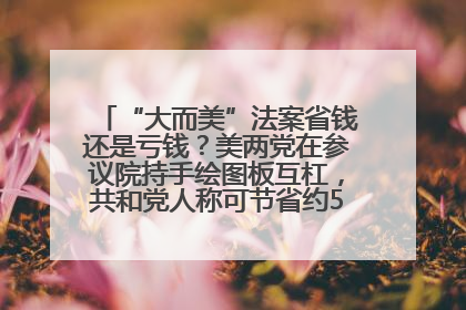 “大而美”法案省钱还是亏钱？美两党在参议院持手绘图板互杠，共和党人称可节省约5000亿美元，民主党人称将增加4.45万亿美元赤字