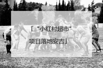“小红村超市”项目落地安吉