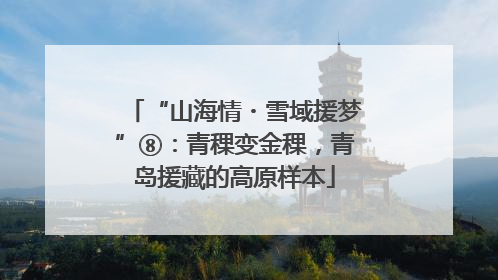 “山海情・雪域援梦”⑧：青稞变金稞，青岛援藏的高原样本