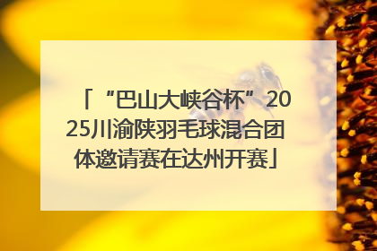 “巴山大峡谷杯”2025川渝陕羽毛球混合团体邀请赛在达州开赛