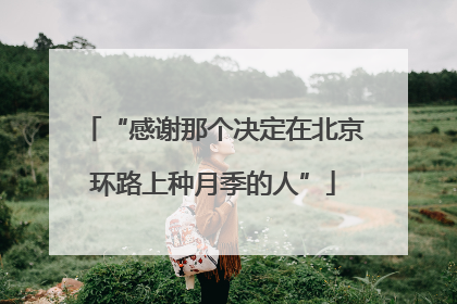 “感谢那个决定在北京环路上种月季的人”