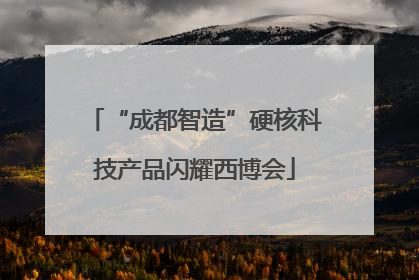 “成都智造”硬核科技产品闪耀西博会