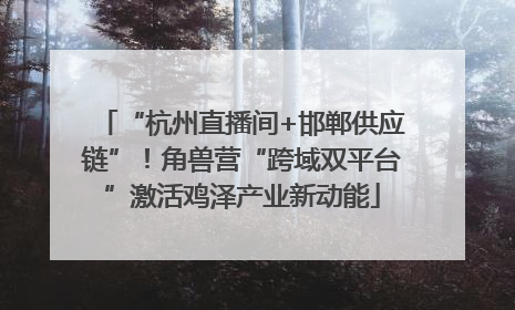 “杭州直播间+邯郸供应链”！角兽营“跨域双平台”激活鸡泽产业新动能