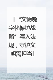 “文物数字化保护战略”写入法规，守护文明需担当