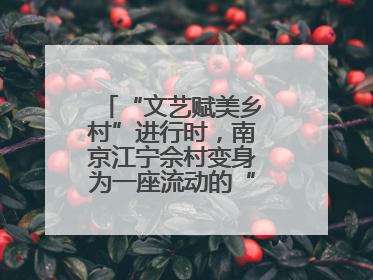 “文艺赋美乡村”进行时，南京江宁佘村变身为一座流动的“艺术村落”