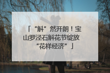 “斛”然开朗！宝山罗泾石斛花节绽放“花样经济”