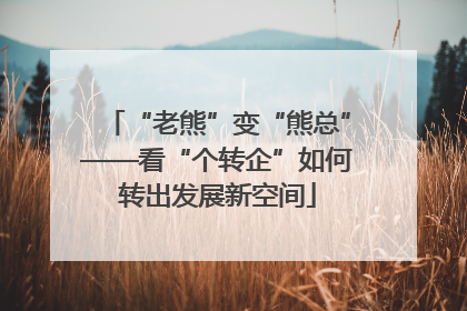“老熊”变“熊总”——看“个转企”如何转出发展新空间