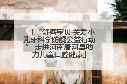 “舒客宝贝·关爱小乳牙科学防龋公益行动” 走进河南唐河县助力儿童口腔健康