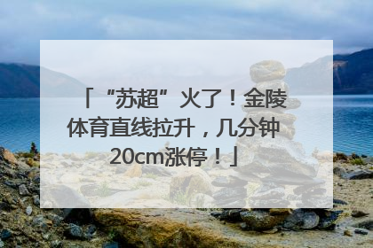 “苏超”火了！金陵体育直线拉升，几分钟20cm涨停！