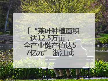 “茶叶种植面积达12.5万亩，全产业链产值达57亿元” 浙江武义茶产业全链发展“加速度”