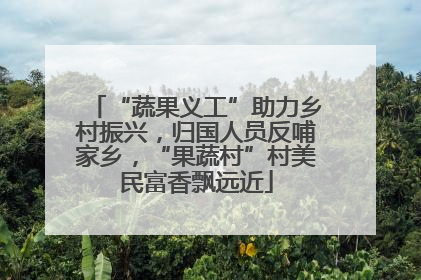 “蔬果义工”助力乡村振兴，归国人员反哺家乡，“果蔬村”村美民富香飘远近