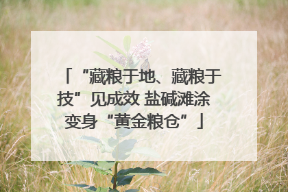 “藏粮于地、藏粮于技”见成效 盐碱滩涂变身“黄金粮仓”