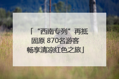 “西南专列”再抵固原 870名游客畅享清凉红色之旅